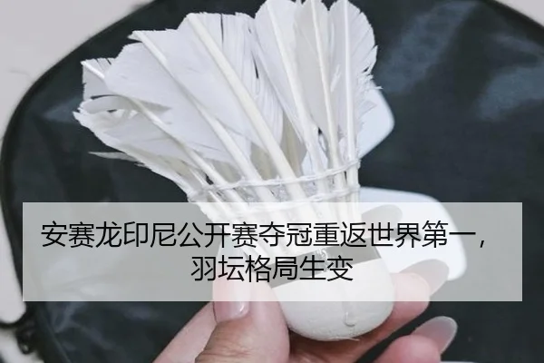 an-sai-long-yin-ni-gong-kai-sai-duo-guan-chong-fan-shi-jie-di-yi-yu-tan-ge-ju-sheng-bian-2-510.jpg